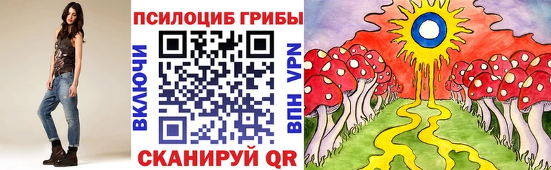 Купить  Ростов  Псилоцибиновые грибы GOLDEN TEACHER 